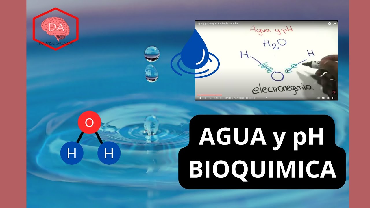 Agua y pH Bioquímica fácil y sencilla