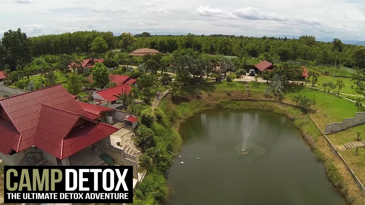 Camp Detox - Chiang Mai - The Program