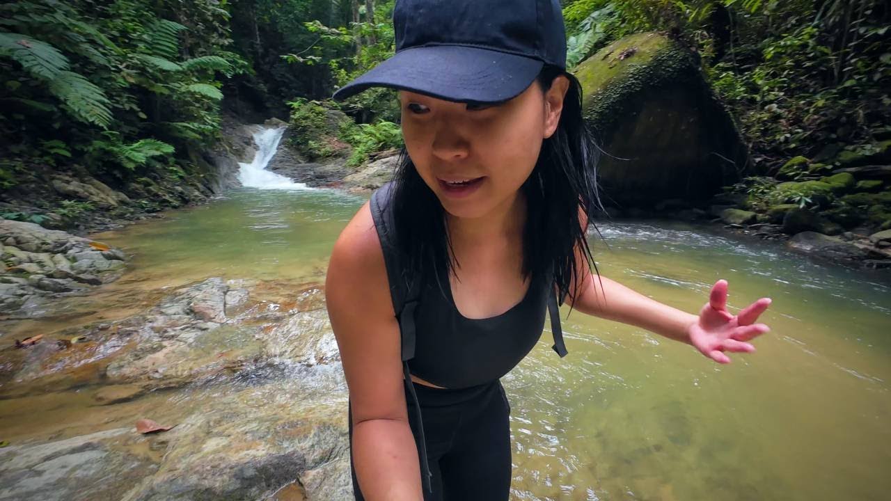Attacked by Bees! Hiking & Waterfall Seeking, Lata Berembun