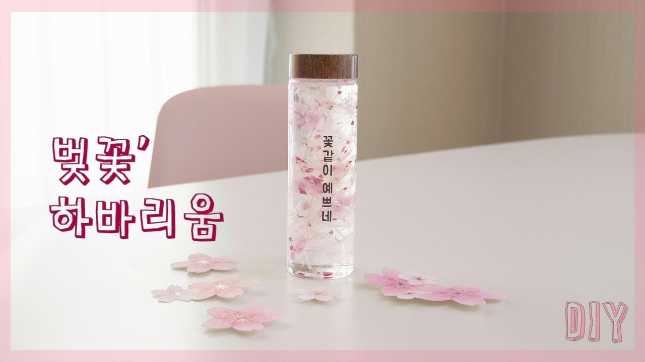 벚꽃 하바리움 만들기 DIY herbarium