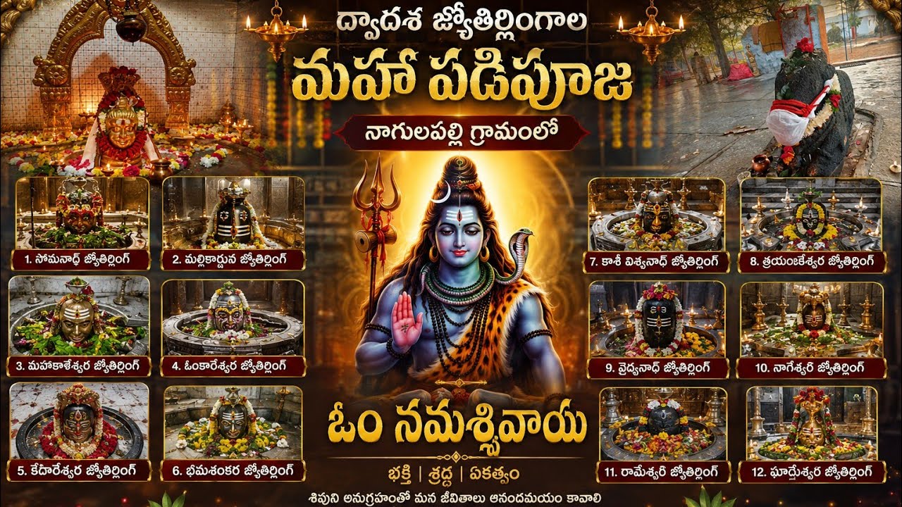 #నాగులపల్లి లో @#ద్వాదశ జ్యోతిర్లింగాల మహా పడిపూజ#