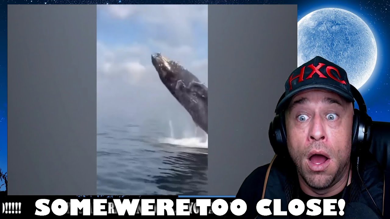 Damn Nature You Scary | Funny Scary Animal Encounters 😱 Reaction!