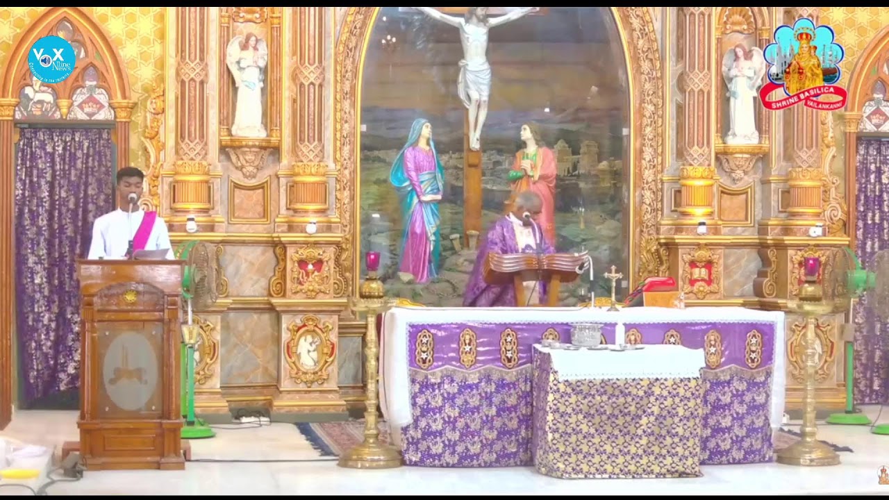 🔻 LIVE MASS || വേളാങ്കണ്ണി പള്ളിയിൽ നിന്ന് മലയാളം ദിവ്യബലി തത്സമയം || (MON to SAT 9 AM)