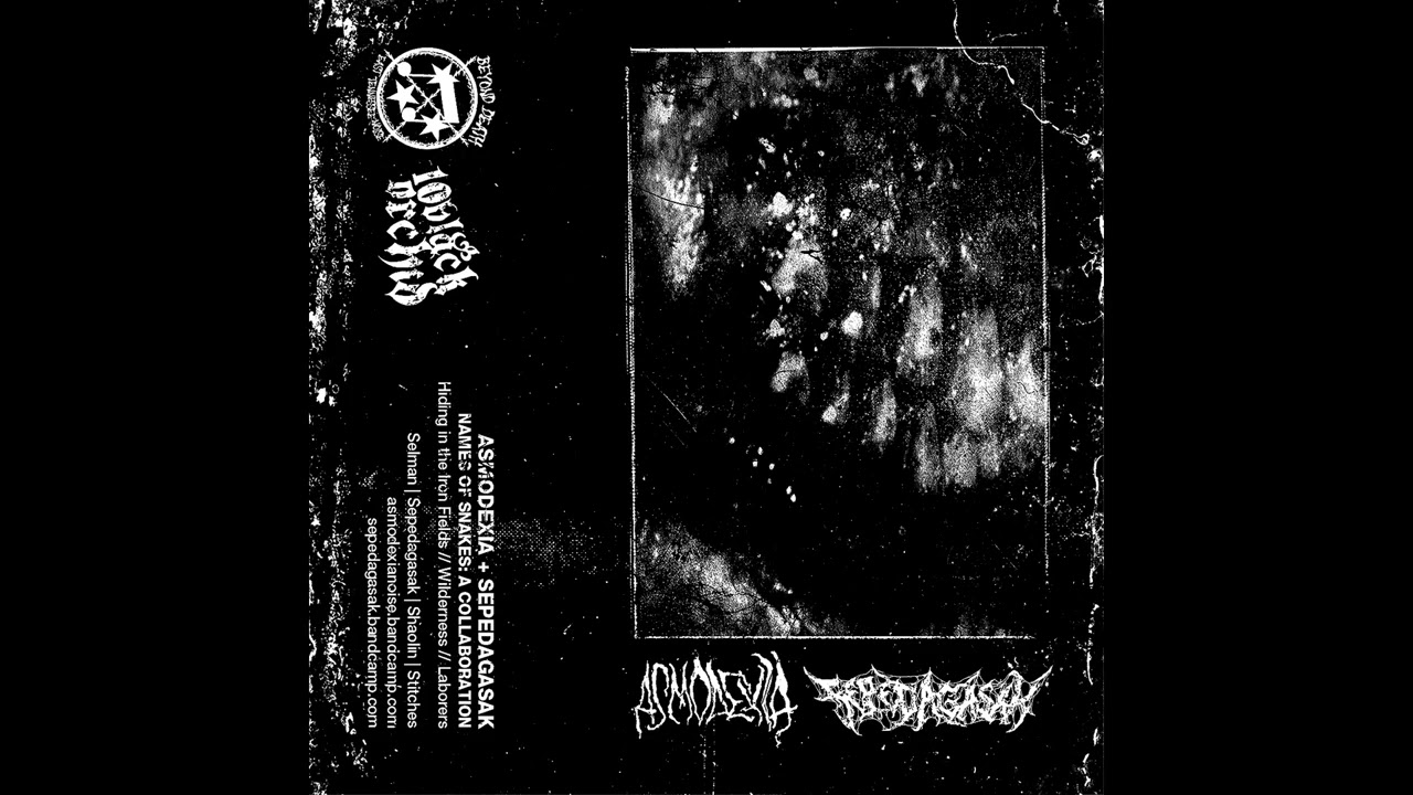ASMODEXIA x SEPEDAGASAK / Names of Snakes: A Collaboration CS (2025)