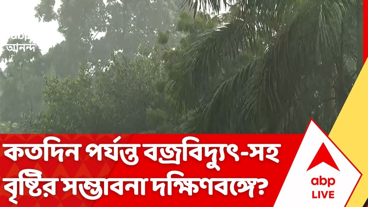 Weather News: Kolkata-র বিভিন্ন অংশে বৃষ্টি, সল্টলেকের বিভিন্ন এলাকায় দমকা বৃষ্টি | ABP Ananda