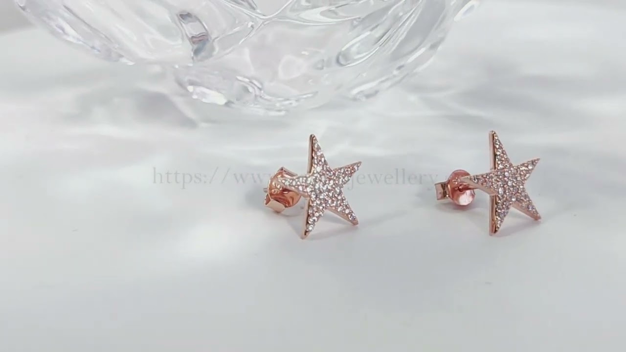Big Star Stud Earrings