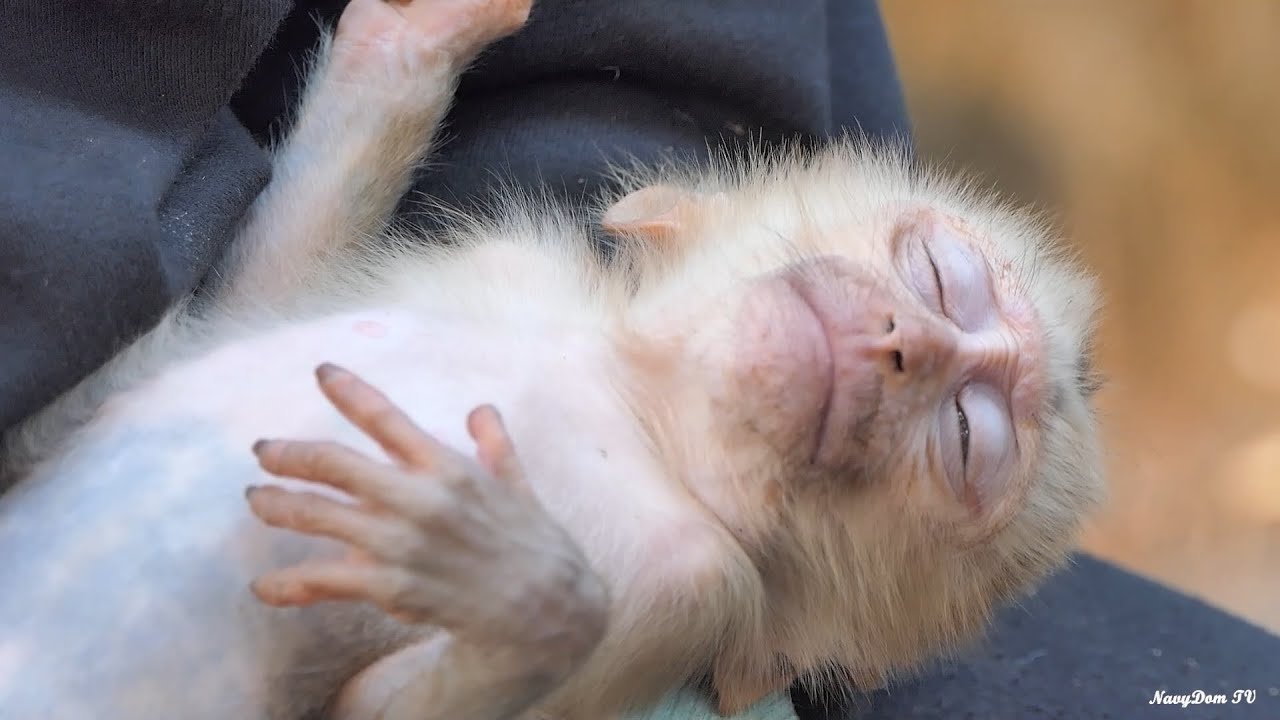 The Endearing Sleep Style of Poor Tiny Baby Royston on KT's Loving Arms