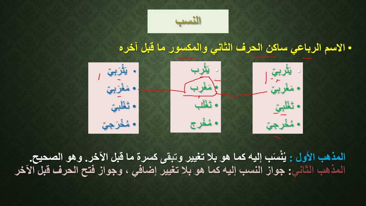النسب ( 2 )