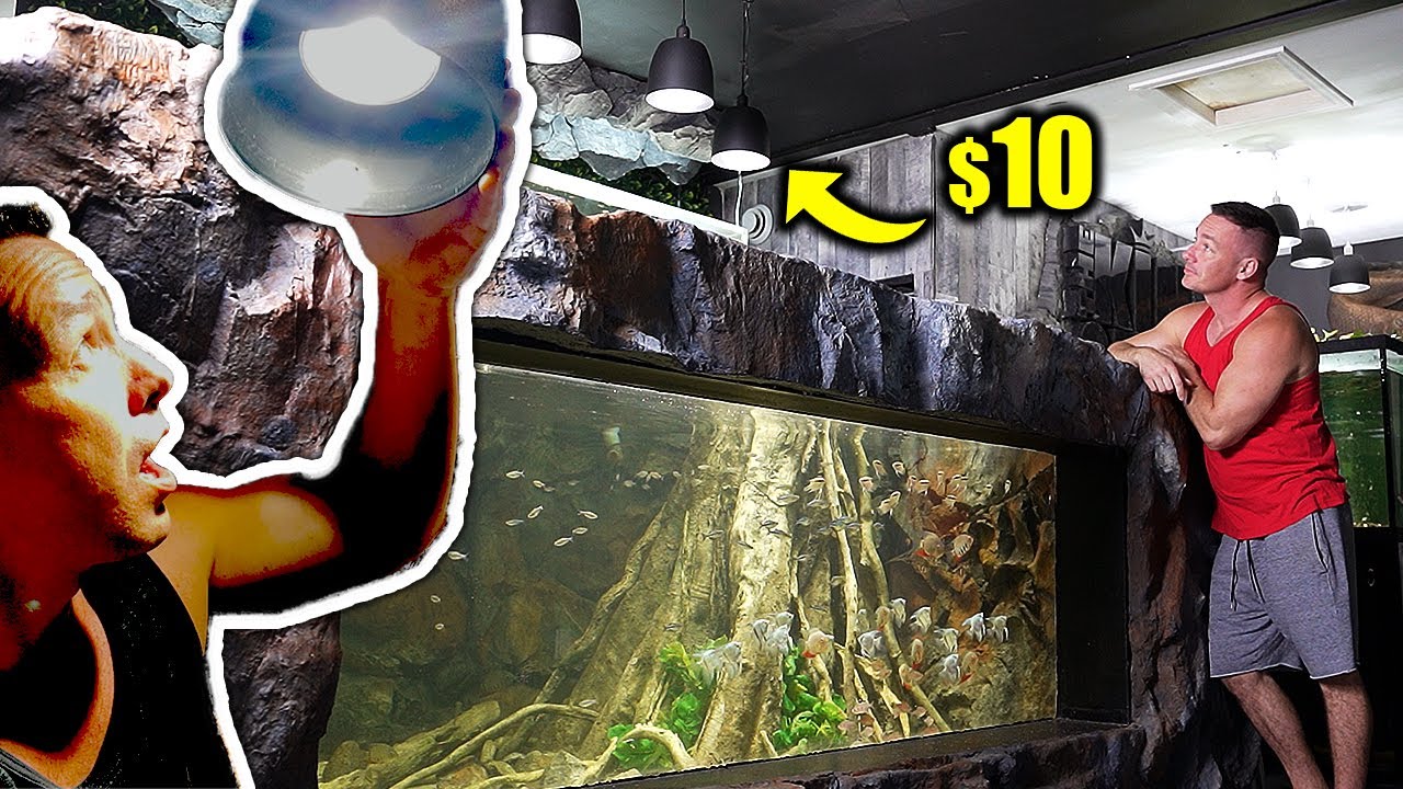 I built these aquarium lights for 10 bucks