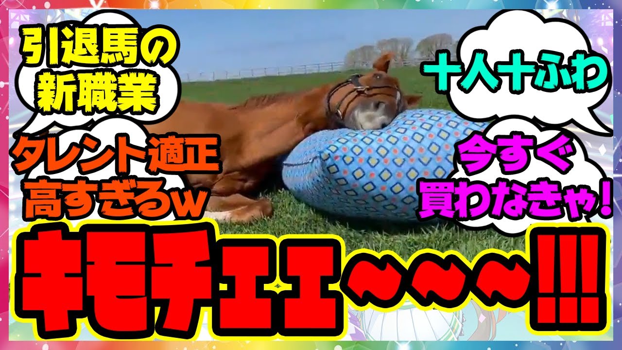 『ウマをダメにするソファー』に対するみんなの反応🐎まとめ【ウマ娘プリティーダービー】【レイミン】Yogibo × アドマイヤジャパン