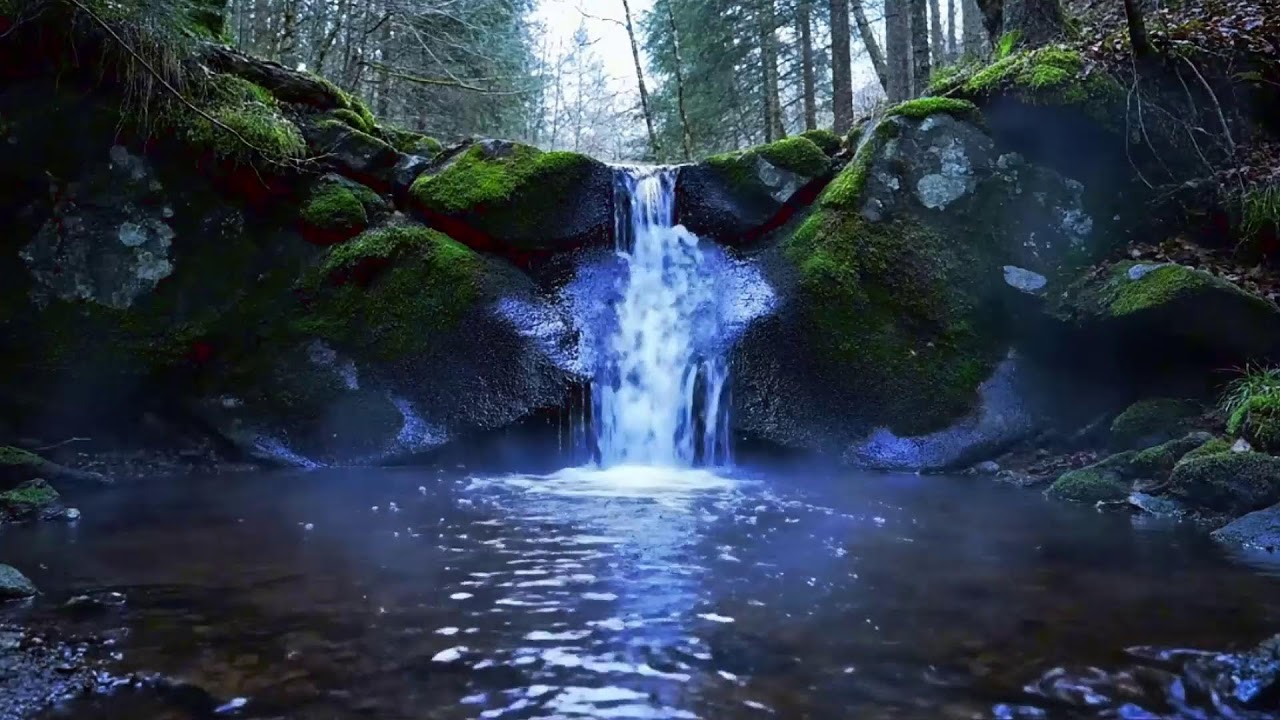 Natural Forest River, Waterfall & Birds | Soothing Nature Sounds (LIVE)