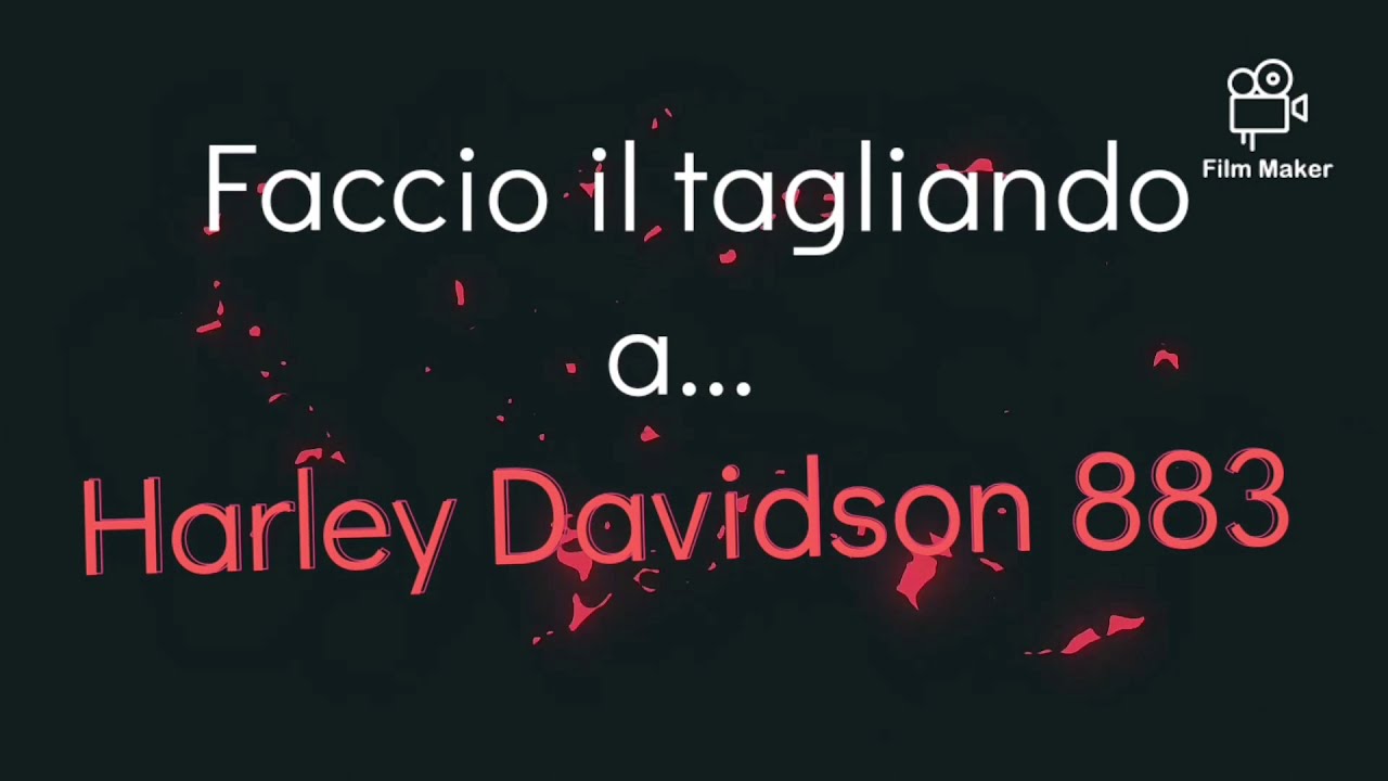 Tagliando harley davidson 883R