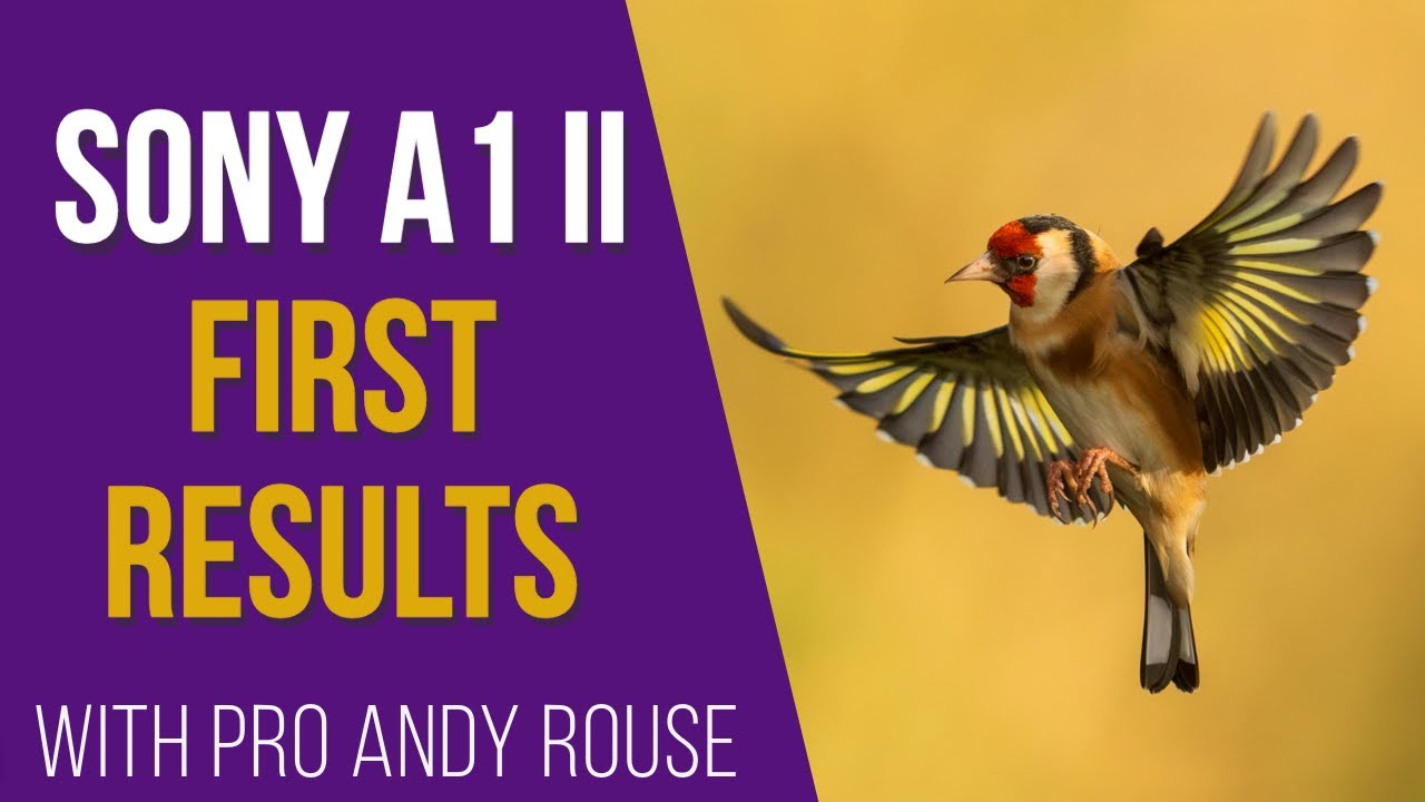 Andy Rouse first images from Sony A1 MKII pre capture speed boost new AI AF subject detect