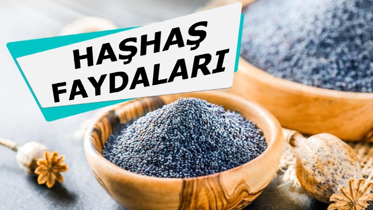 HAŞHAŞ FAYDALARI