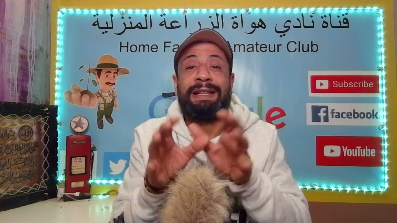 ماذا تفعل الان لضمان تزهير وفير وعقد جيد