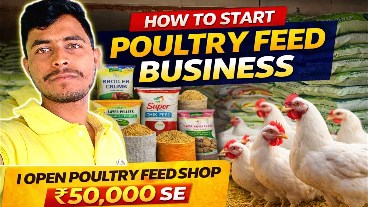 How to open poultry feed shop @BlogWithFarm 