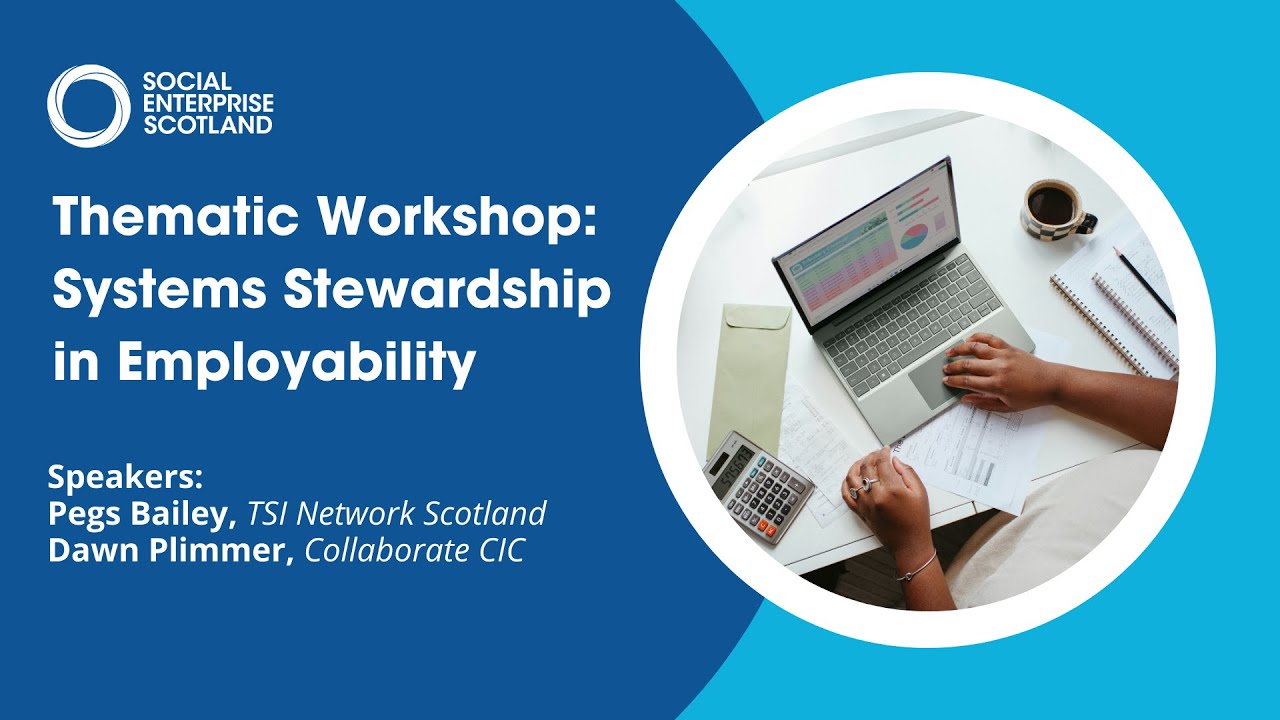 Thematic Workshop: Systems Stewardship in Employability | Webinar Recording