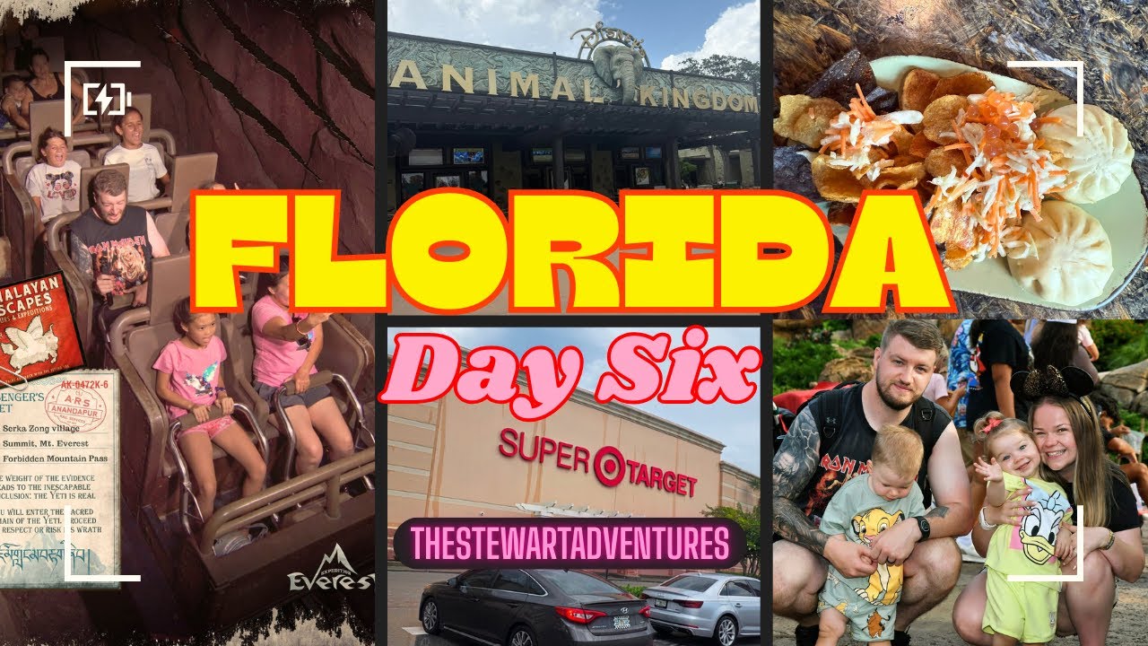 Walt Disney World Day 6 | Animal Kingdom | Dairy Queen | Super Target