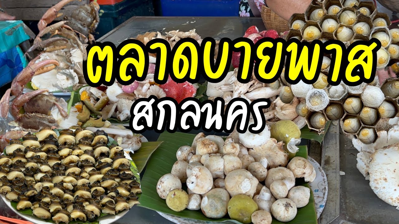 ตลาดขายของป่า จ.สกลนคร สุดยอด อาหารแซ่บ ของป่าภูพาน