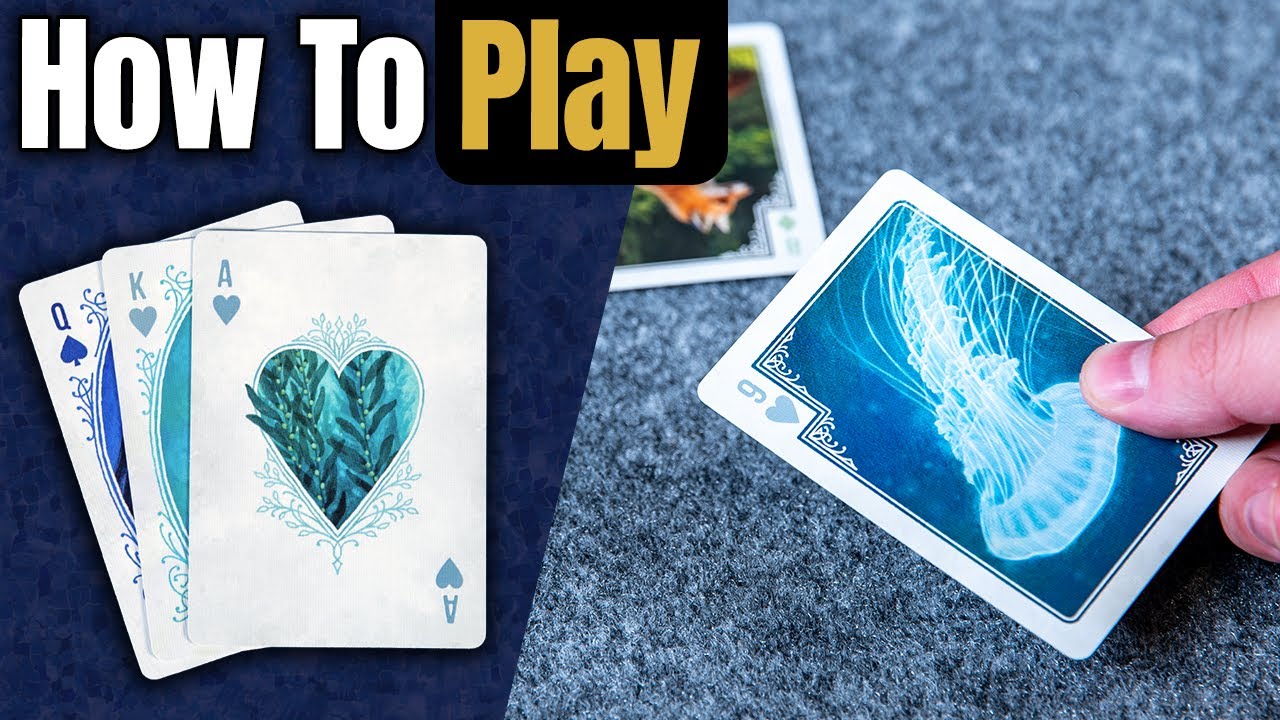 Hearts | How to Play | Learn to Play in 3 Minutes!
