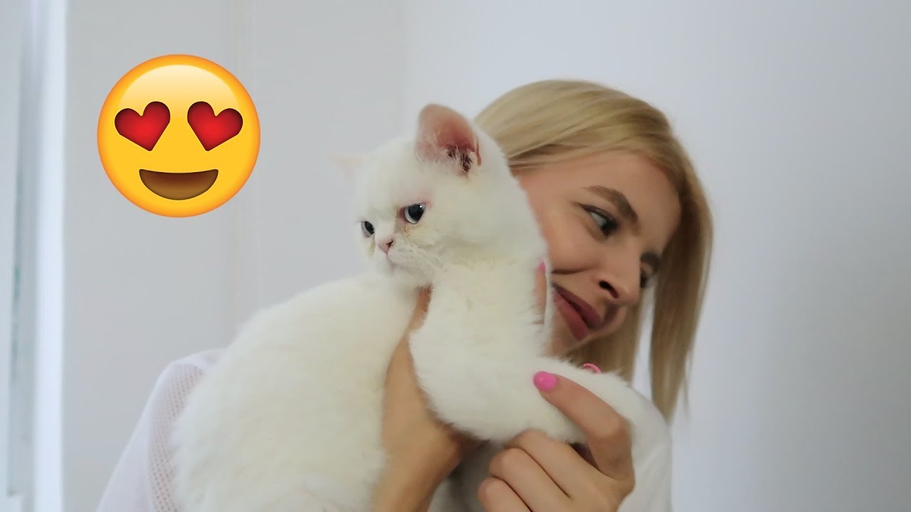 NOUL MEMBRU AL FAMILIEI !