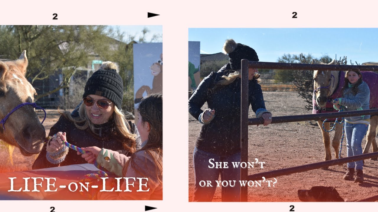 Reigning Grace Ranch: WANTED MENTORSHIP