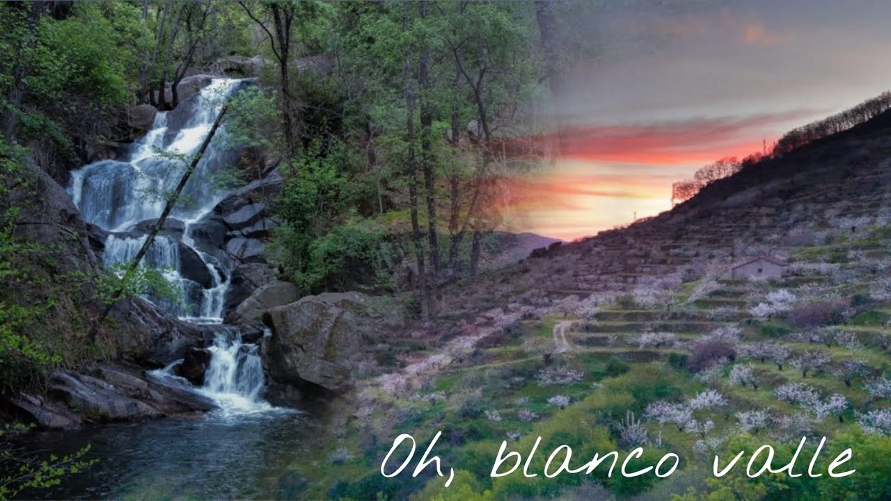 Los CEREZOS en FLOR del Valle del Jerte 🏔️🌸 | PRIMAVERA BLANCA