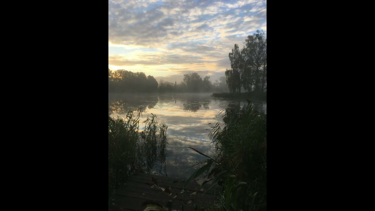 Darek Kowalski - Pod zakochanym
