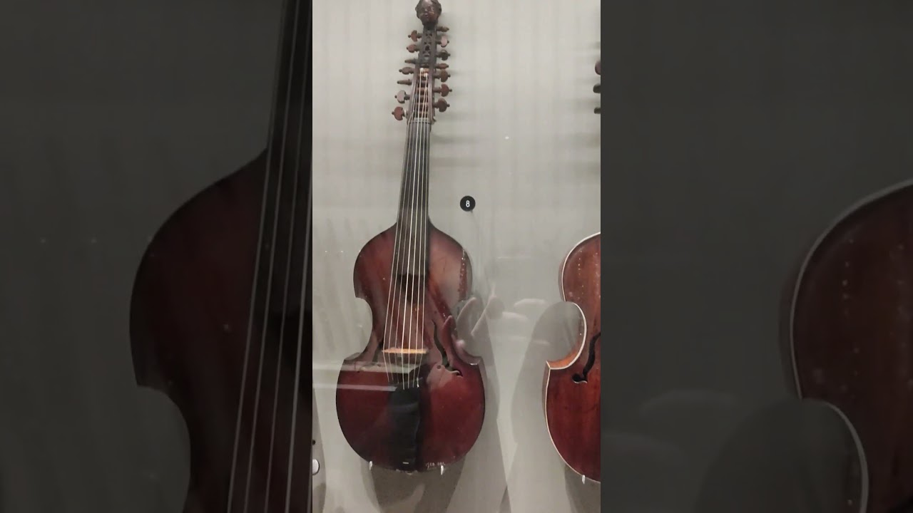 Viols and Bowed Stringed Instruments on display at St Cecilia's Hall, Edinburgh #shorts