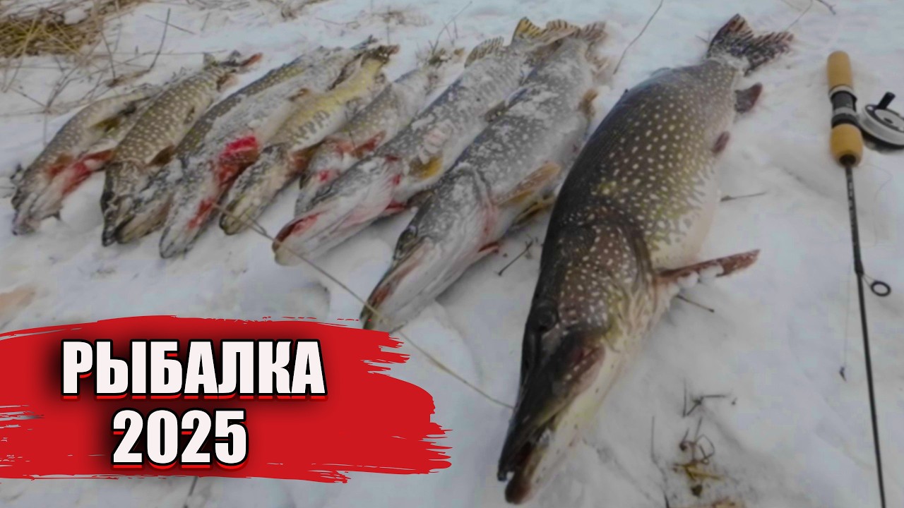Рыбалка на оз. Улюколь. Апрель 2025. Жерлицы. Русская рыбалка. fishing