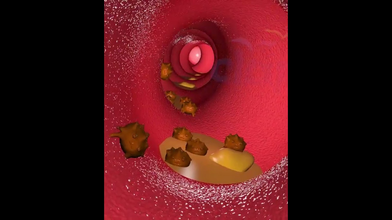 Что происходит, когда вы пьёте? Путешествие алкоголя по вашему телу 🍷 (3D-анимация)