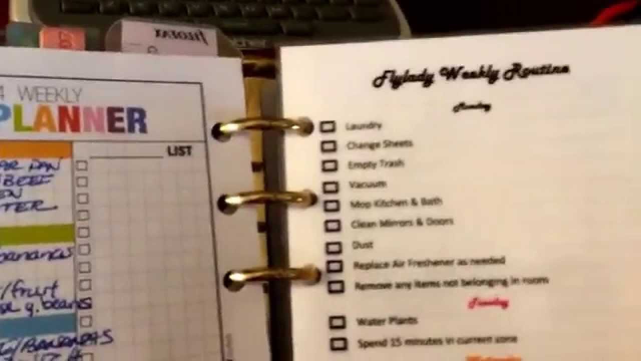 Fly lady moveable inserts to track cleaning in your personal size Filofax