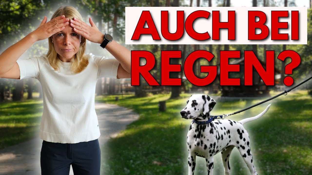 Lustig: Sobald’s regnet sieht man keine Hunde!