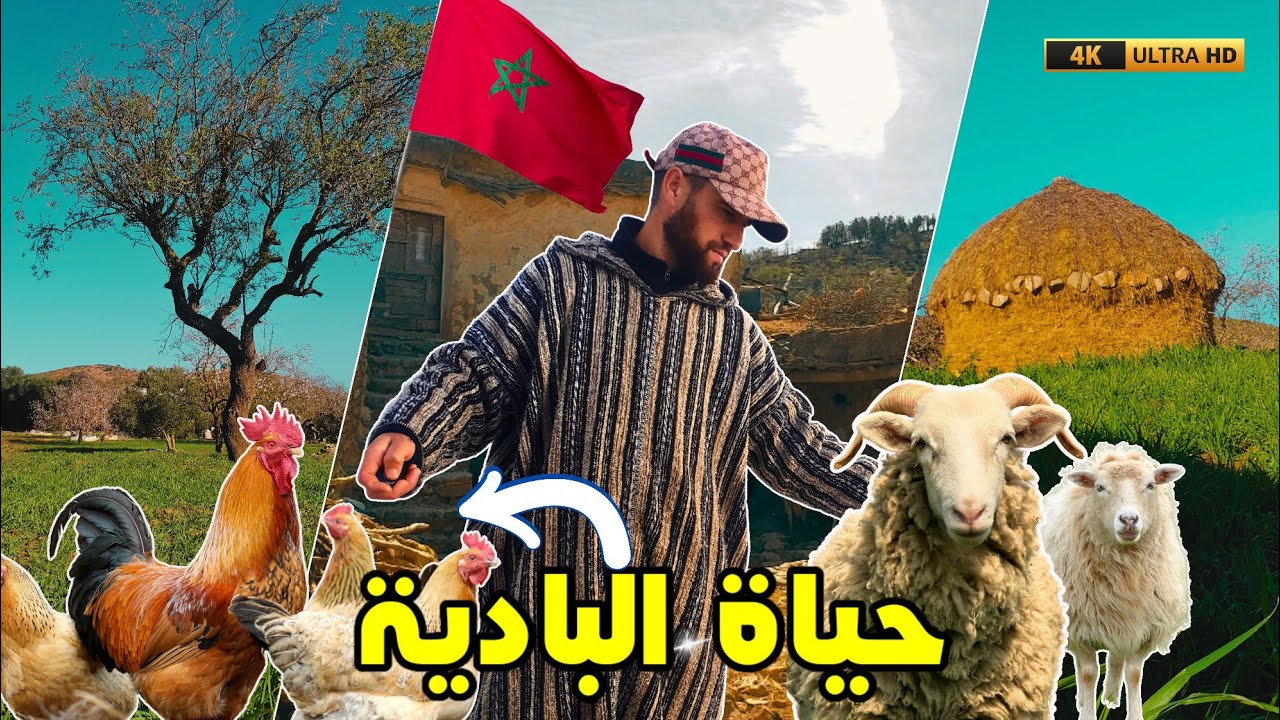 حياة البادية -حياة هادئة وجميلة في الريف نواحي الحسيمة Rif Morooco alhoceima