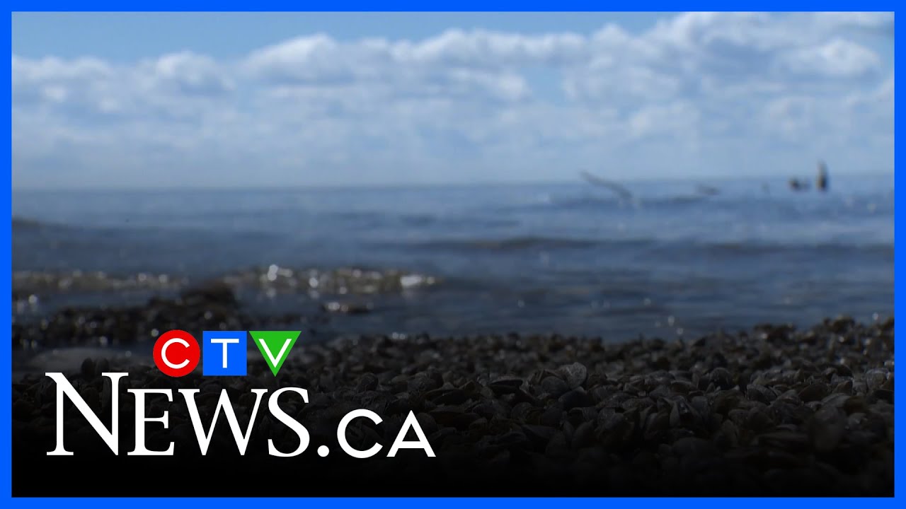 Motorized watercraft banned on Clear Lake, Manitoba