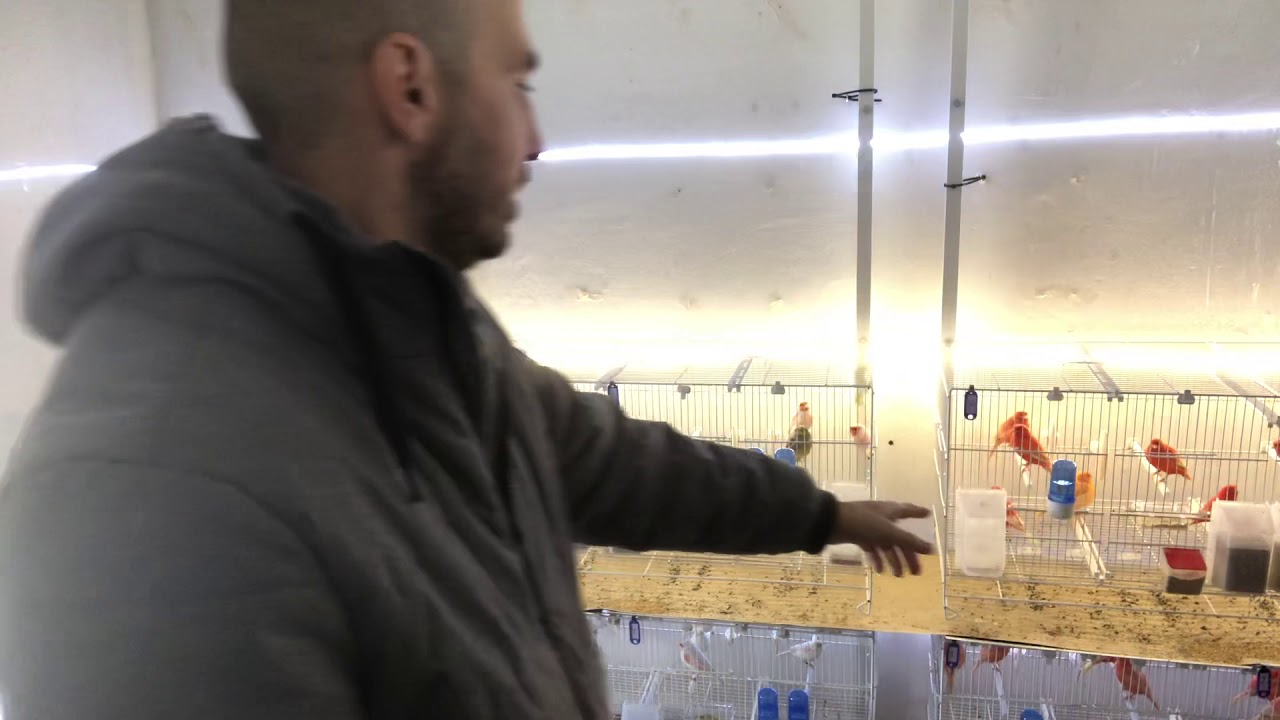 El sistema rollo para limpieza