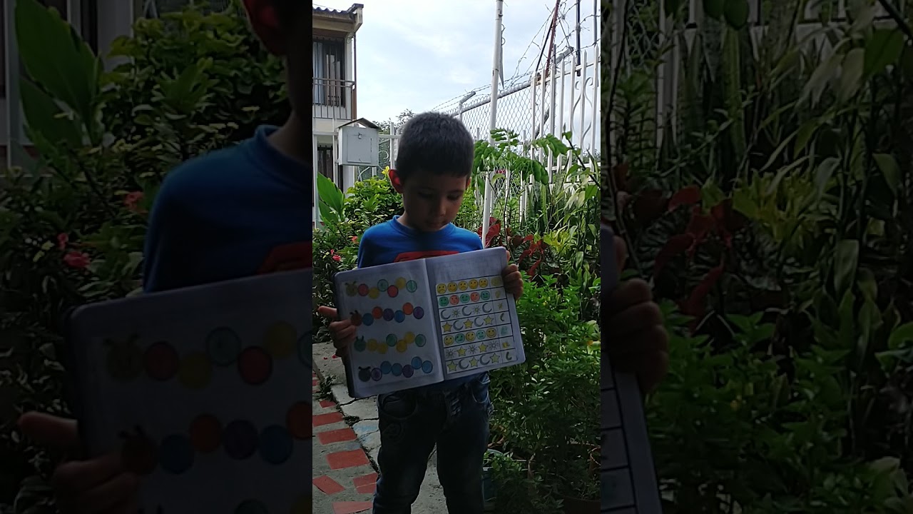 momento 2, seríación por forma página 18.