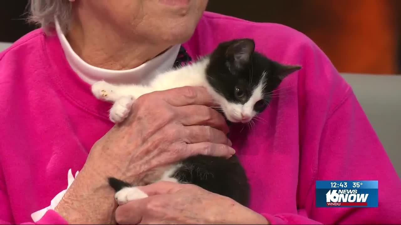 2nd Chance Pet: Rudy