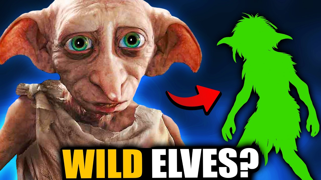 What Were House Elves BEFORE They Served Wizardkind? - Harry Potter Theory
