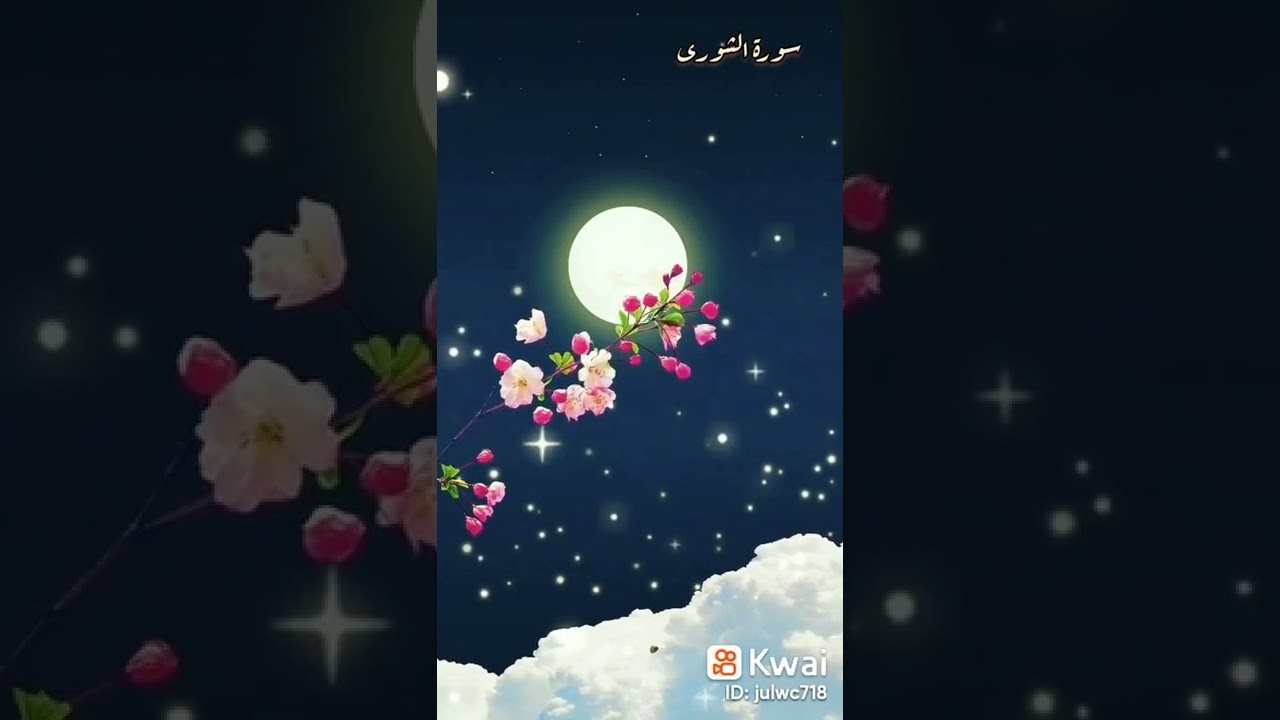 ايات من سورة الشورى /بصوت القارئ عبد الباسط عبد الصمد
