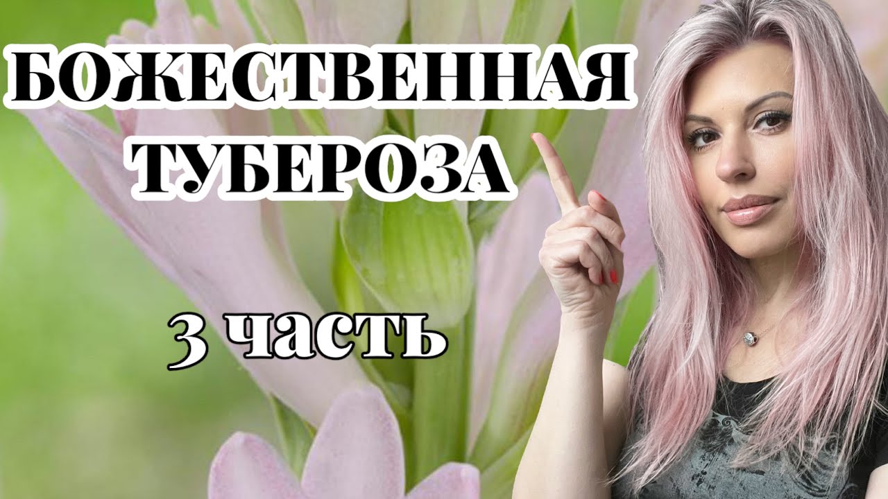 ПАРФЮМ ДЛЯ БОЖЕСТВА (3 часть) ТУБЕРОЗА В ПАРФЮМЕРИИ