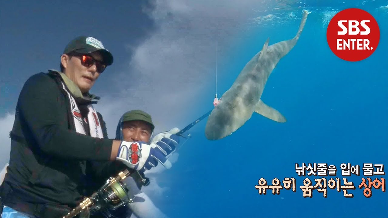 이태곤 VS ‘길이 2미터’ 상어, 지피지기 백전불태 | 정글의 법칙(Law of the Jungle) | SBS Enter.