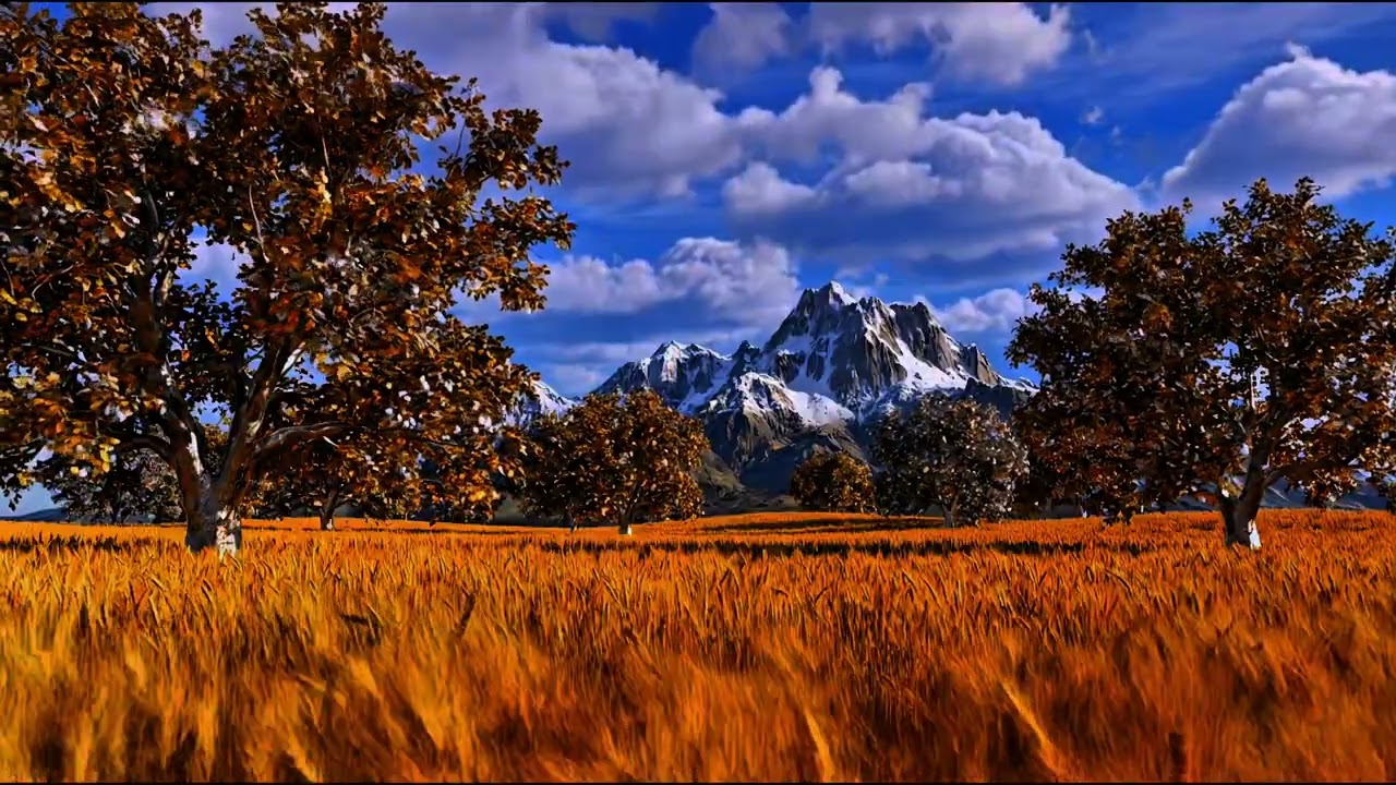 Wheatfield Walk 432hz (1 Hour Ambient Walk Through Golden Sun-Bathed Wheat for Calmness | Clarity)