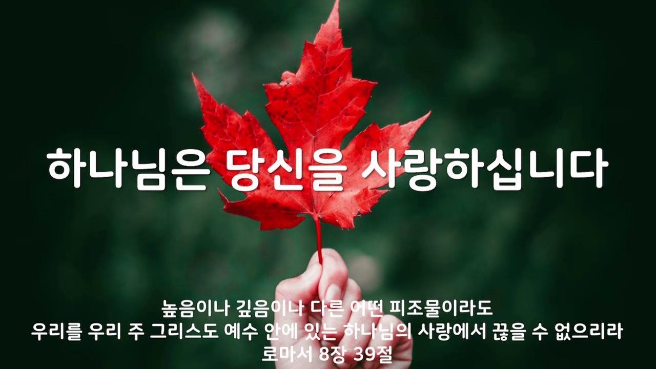 2026년 2월 22일 주일오전예배