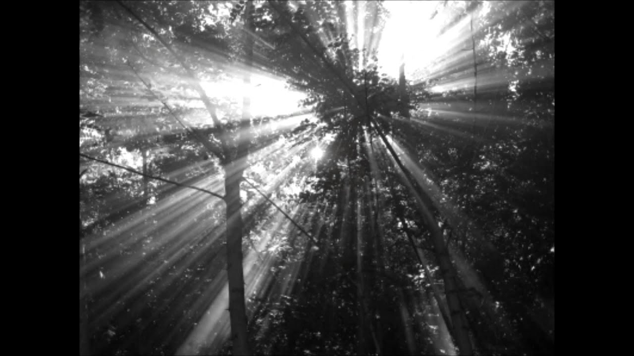 Muntagna Chieta - Vitalba