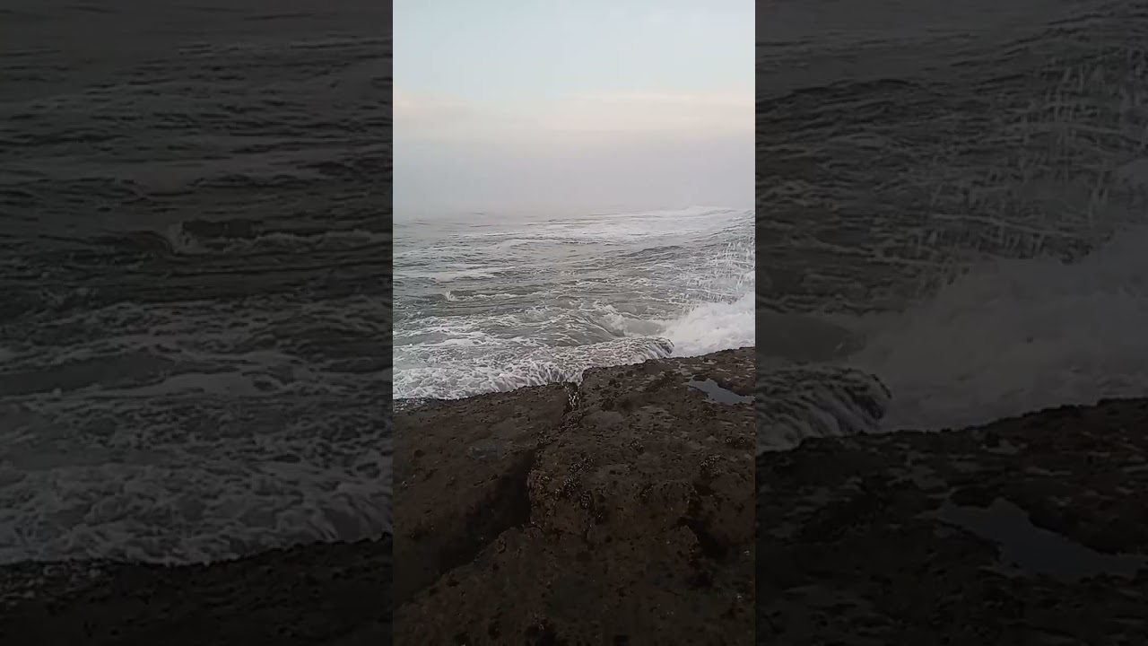 افضل طعم لصيد سمك الشرغو في بحر متقلب هائج