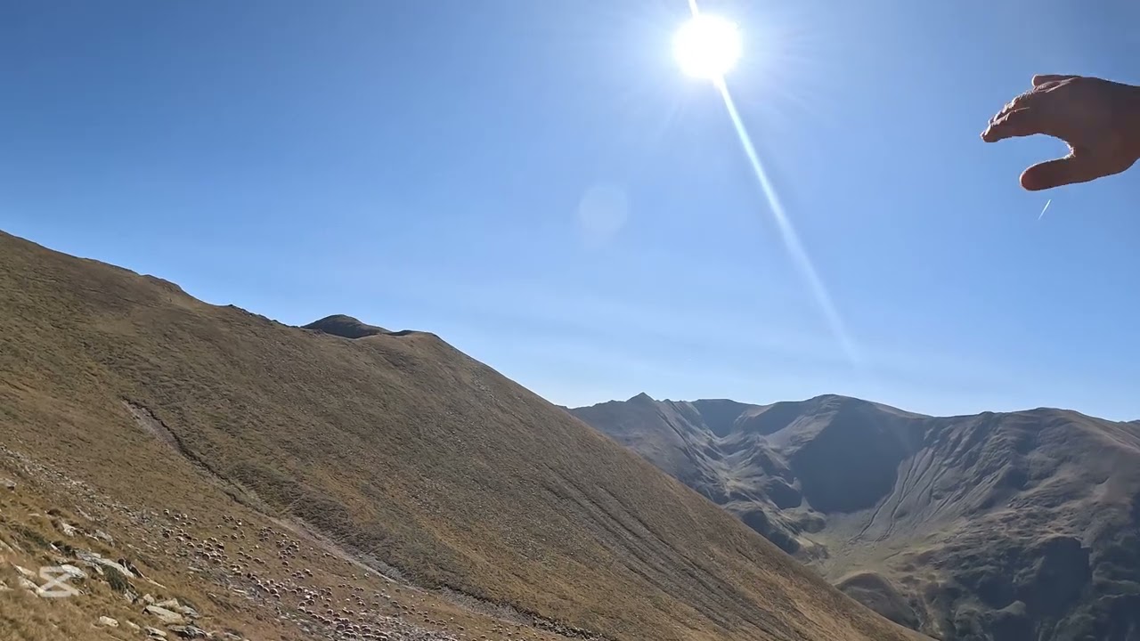 Creasta Fagarasului - Fereastra Mica a Sambetei -Refugiul Comisu - Plaiul Foii 08.09.2024-09.09.2024