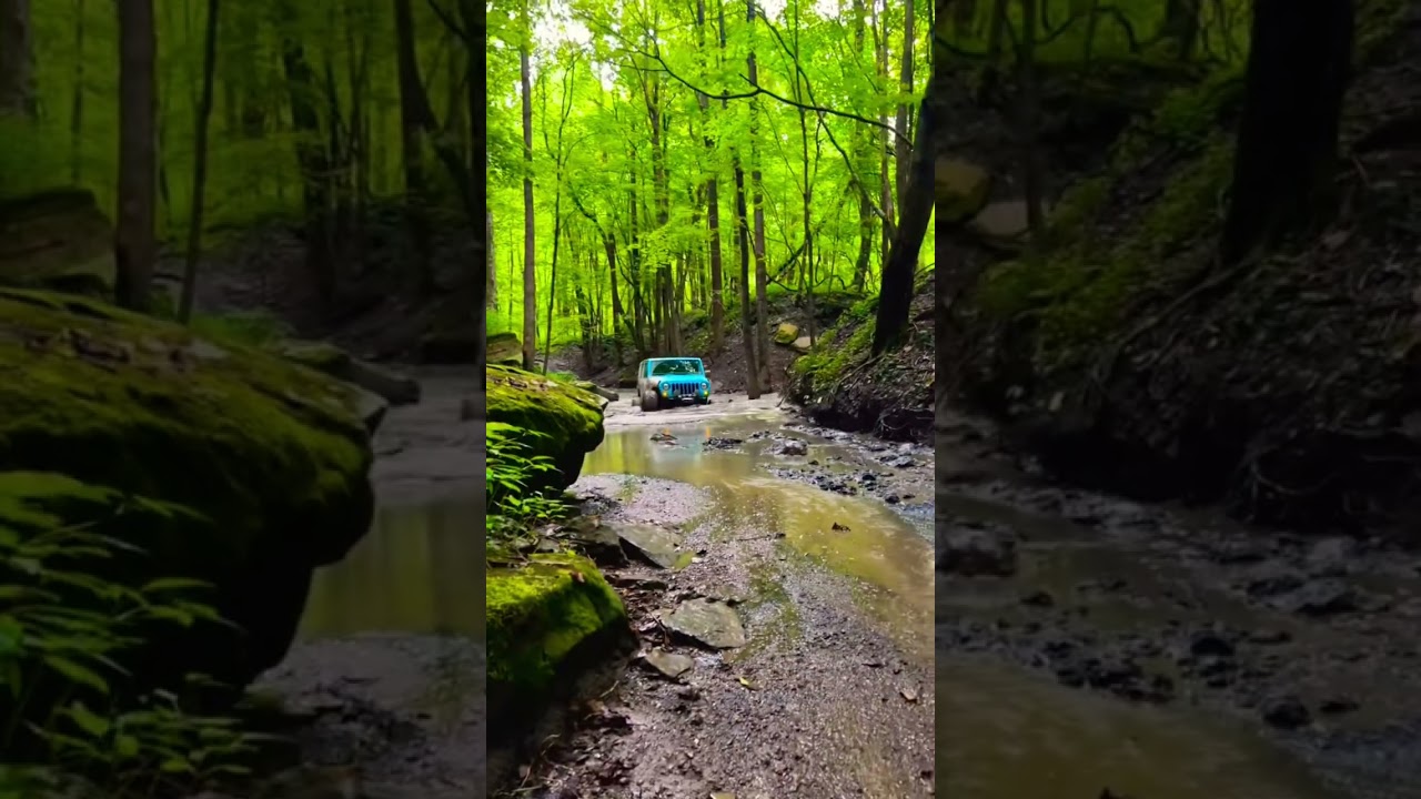 Afternoon stroll thru Windrock park #shorts #windrock #windrockoffroadpark #offroading