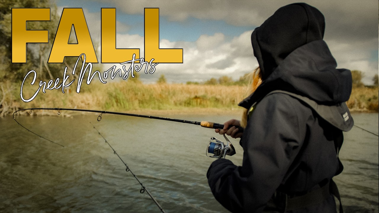Fishing Lake Erie’s Hidden Fall Run | Big Fish, Cold Water, Small Creek