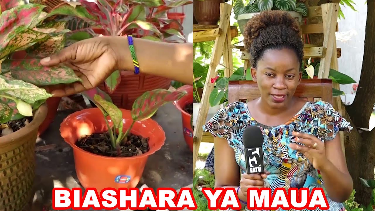 Ifahamu biashara ya Maua inavyobadilisha maisha ya watu